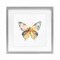 Stupell Industries Watercolor Butterfly Subtlety Framed Print Under Glass, design by Kim Allen